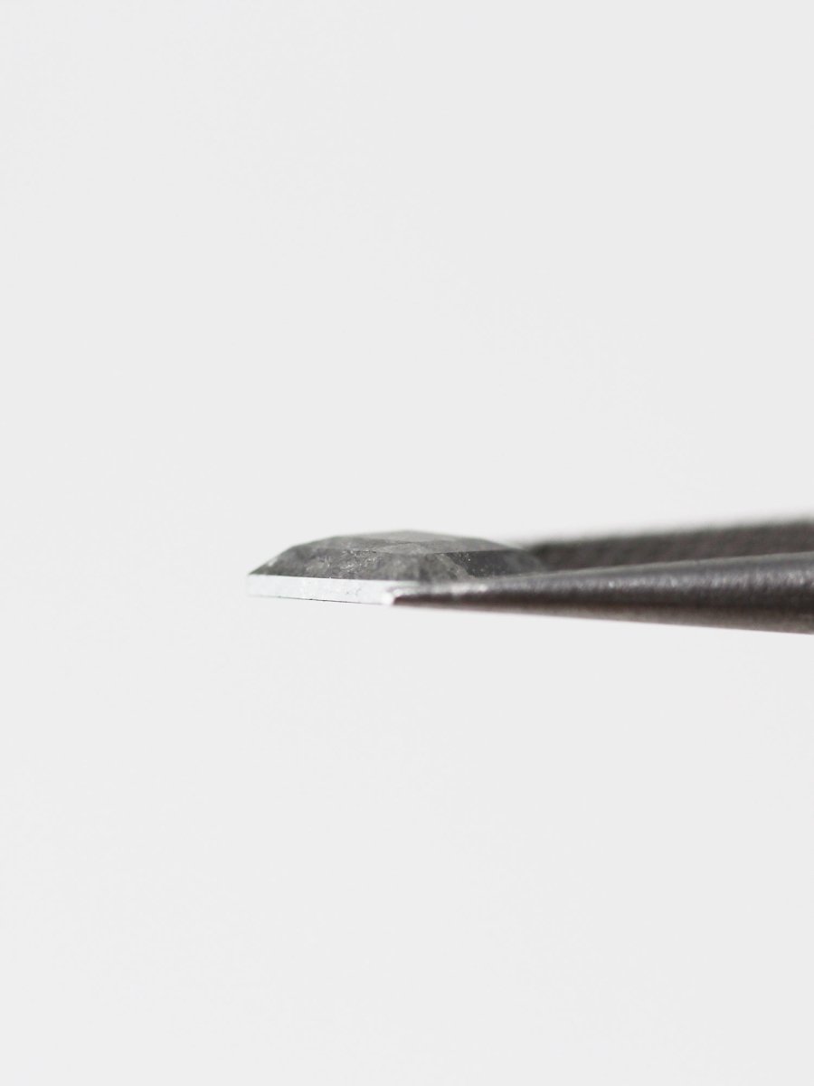 1,05 CT Salz- und Pfefferdracheninventar SKU SPKITEU-02