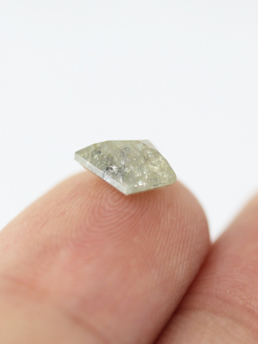 1,05 CT Salz- und Pfefferdracheninventar SKU SPKITEU-04