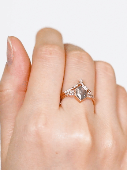 hiddenspace-engagement-ring-quinn-salt-and-pepper-diamond-product-front