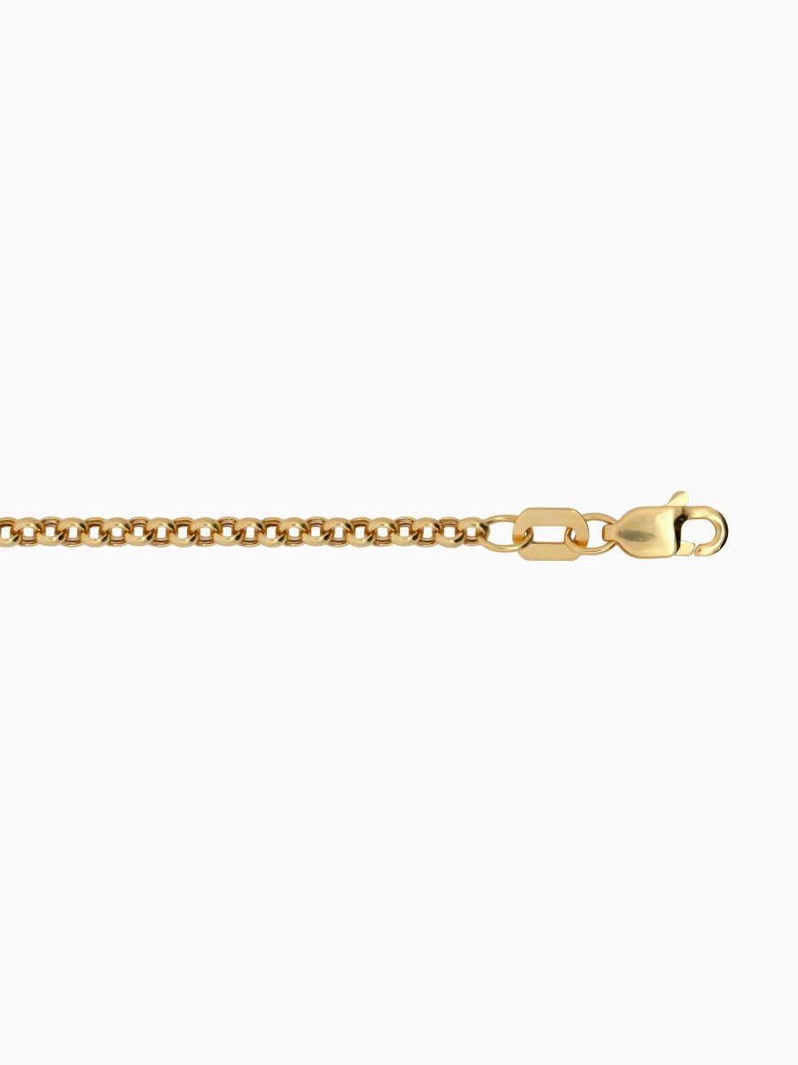hiddenspace_jewelry_components_chains__0007_10k-gold-2.5mm_Lite-rolo_lock