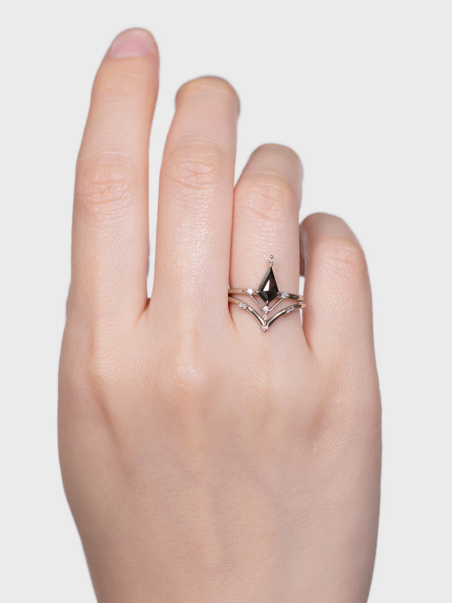 hiddenspace-engagement-ring-iris-salt-and-pepper-diamond-14k-hand