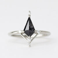 hiddenspace-engagement-ring-iris-salt-and-pepper-diamond-14k-product-front