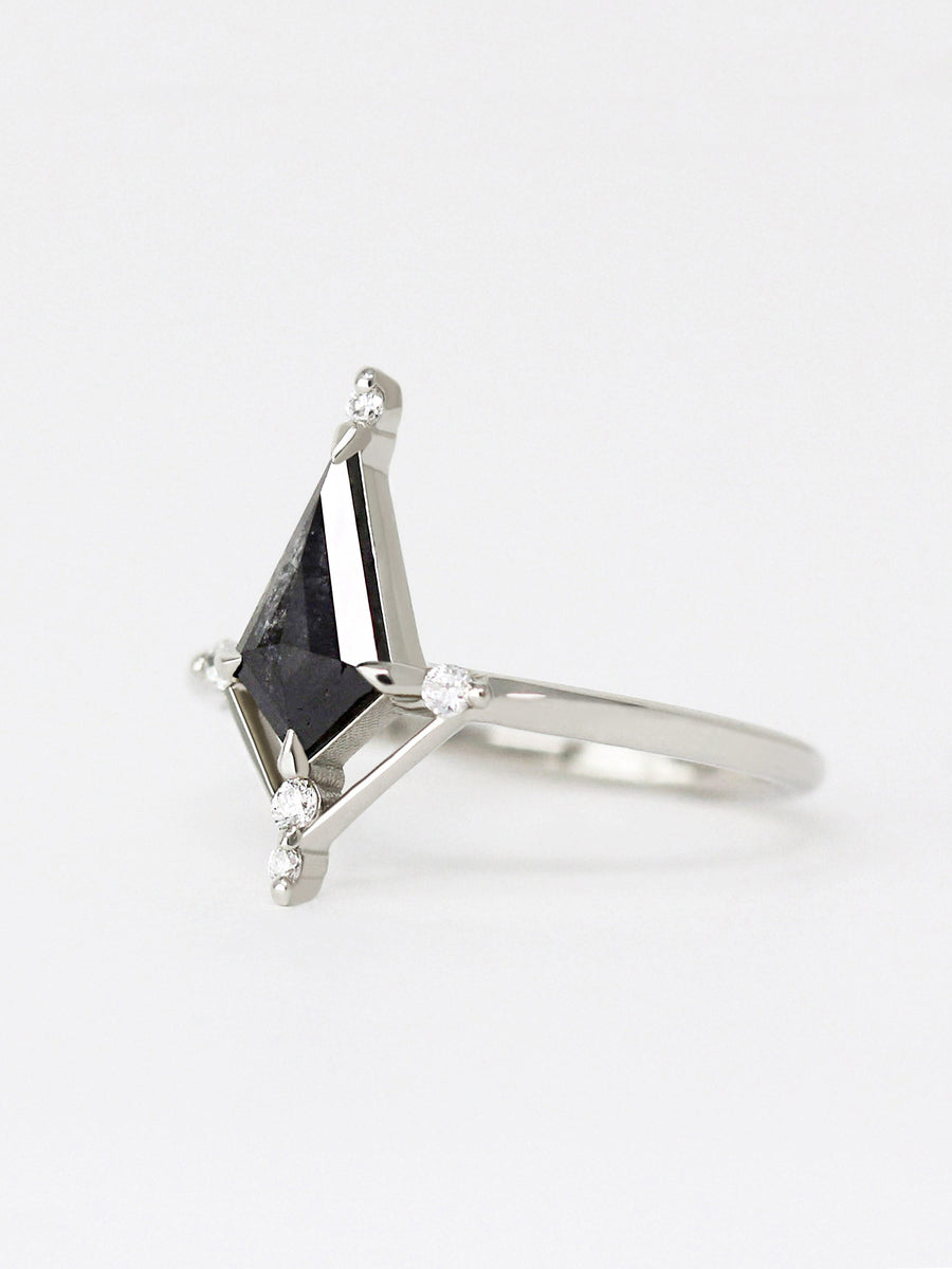 hiddenspace-engagement-ring-iris-salt-and-pepper-diamond-14k-product-left
