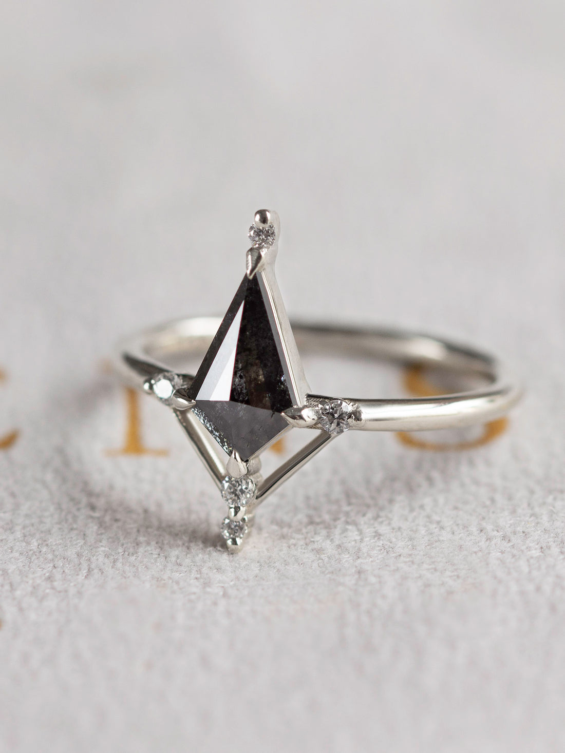 hiddenspace-jewelry-salt-and-pepper-diamond-engagement-ring-iris-concept-2