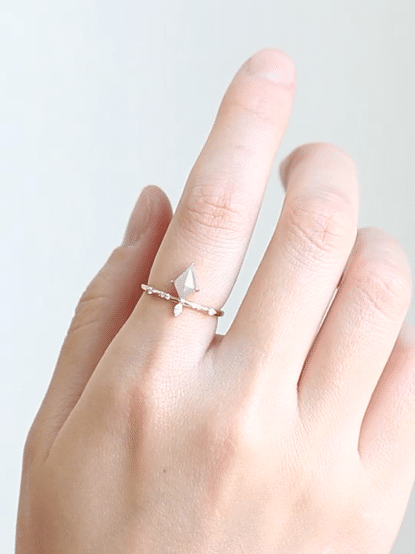 hiddenspace-engagement-rings-sequoia-salt-and-pepper-diamond-14k-front