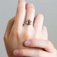 engagementring-saltandpepperdiamond-delcyring-hand2