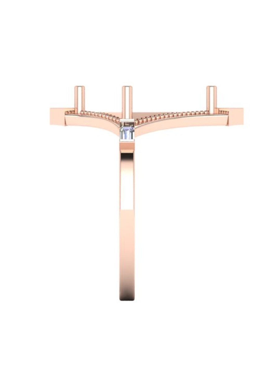 H/S Tori Ring - HIDDENSPACE